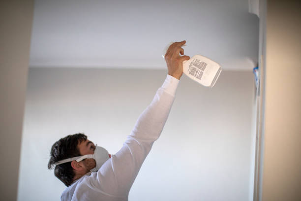Best Certified Mold Removal  in Wyndmoor, PA