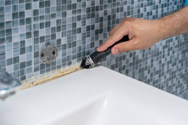 Best Professional Mold Removal  in Wyndmoor, PA