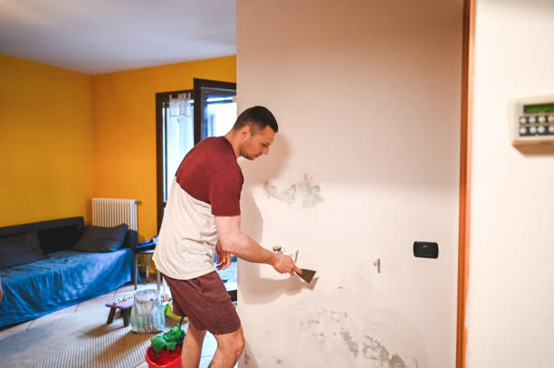 Best Attic Mold Removal  in Wyndmoor, PA